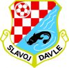 TJ Slavoj Davle